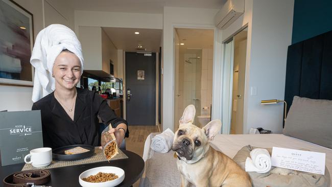 Maya Stankovic, 21 and Lucy 10 months at a pup-friendly room at Quest Burwood East. Picture: Jason Edwards