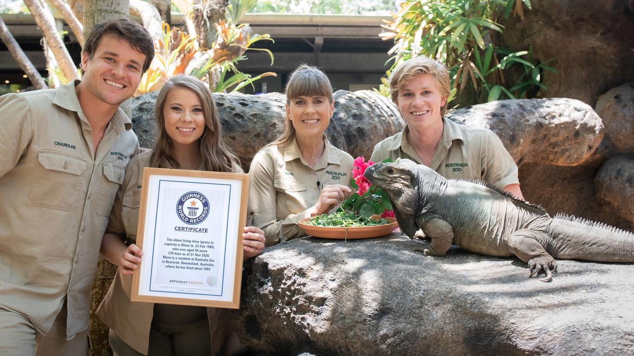 In happier times: Rhino the iguana is presented his record by Chandler Powell and Bindi, Terri and Robert Irwin.