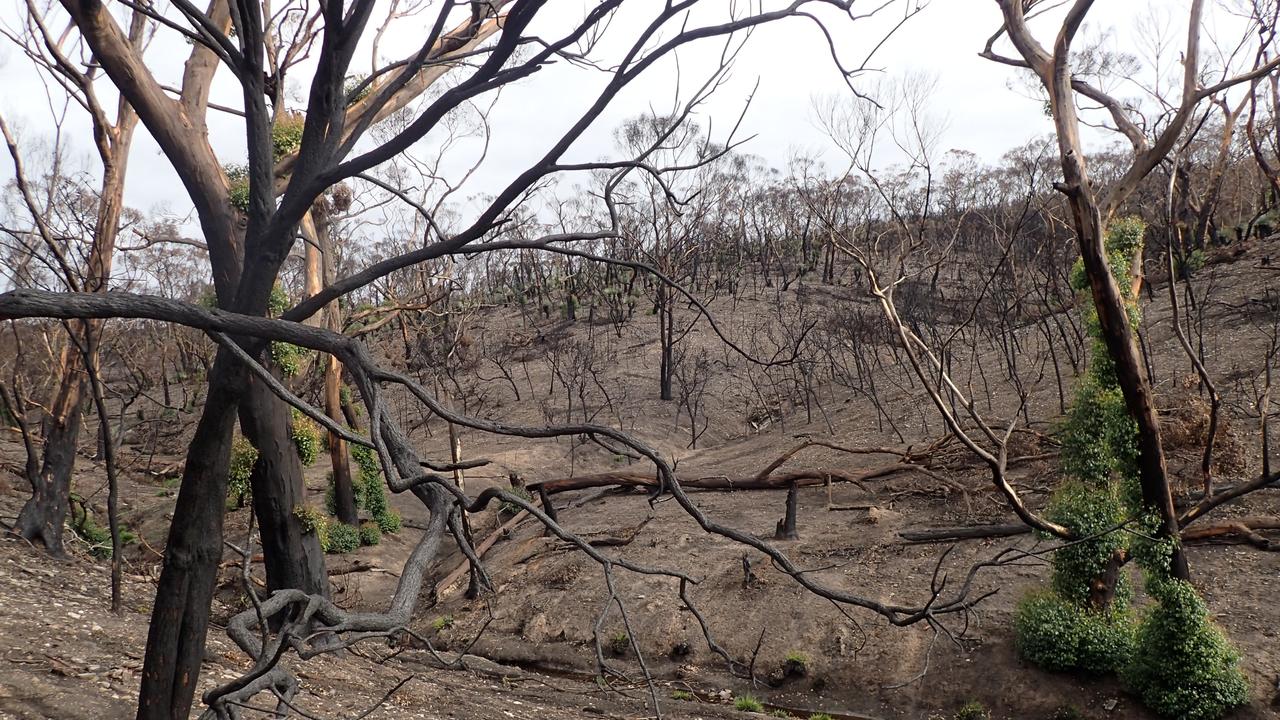 The 2019-20 bushfires burnt around 48 per cent of Kangaroo Island. Picture: Supplied