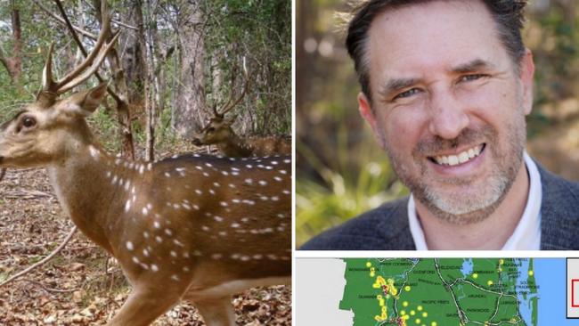 A new report to Councillor Glenn Tozer's (pictured right) Lifestyle Committee reveals hot spots for feral deer on the Gold Coast. Source: Gold Coast City Council.