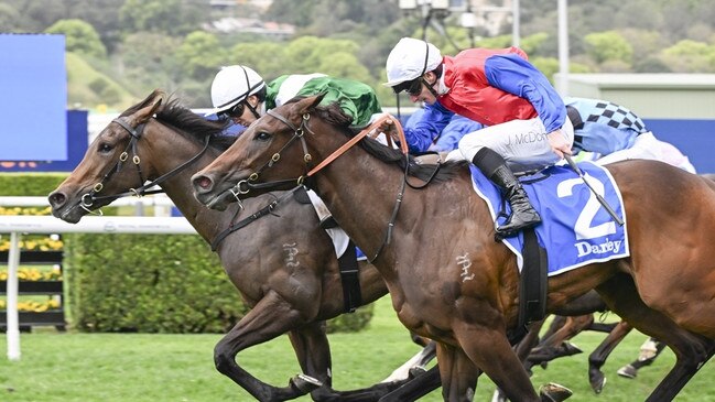 Manaal (Randwick Furious Stakes 07-09-24). Picture: Bradley Photos