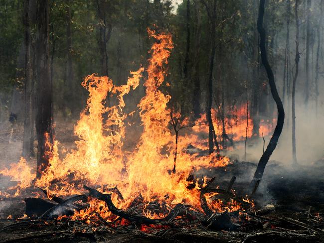 Teen sentenced for starting Toowoomba forest fire