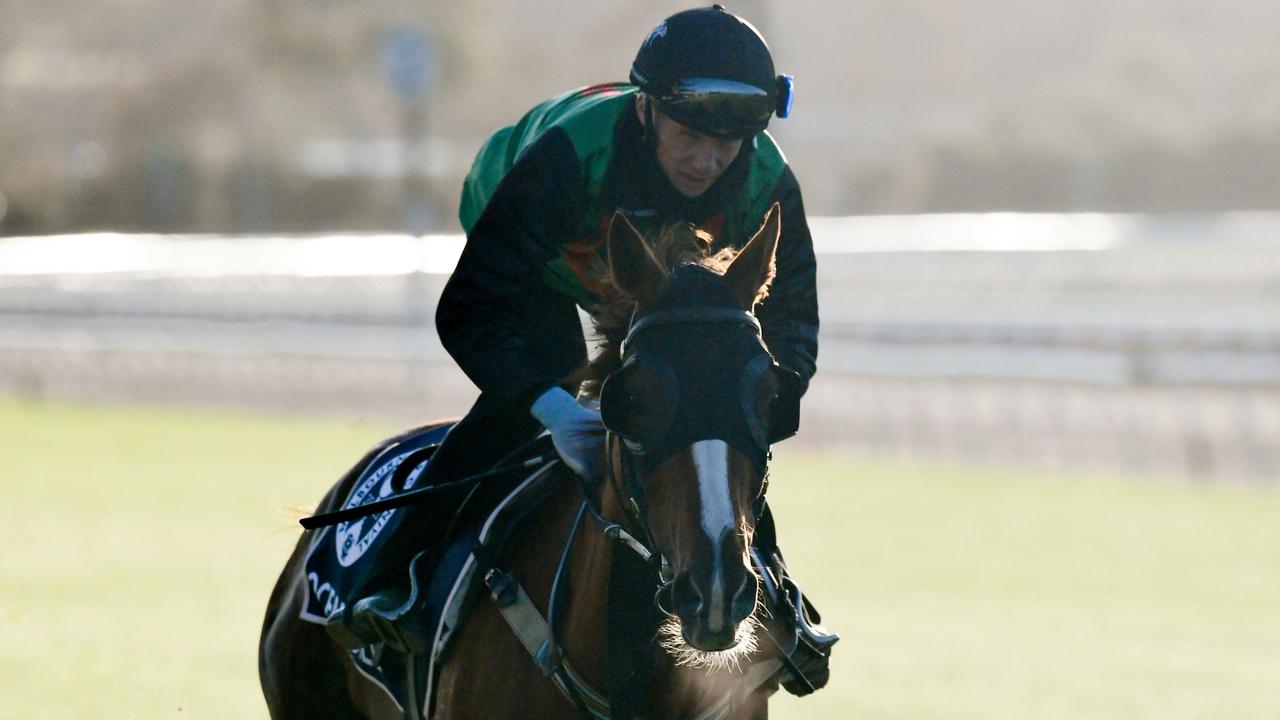 Ocean Billy during track work at Flemington. Picture: Getty Images