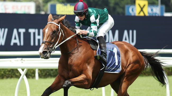 SYDNEY, AUSTRALIA - FEBRUARY 08: James McDonald riding Via Sistina participates in an exhibition gallop after Race 1 during Sydney Racing at Royal Randwick Racecourse on February 08, 2025 in Sydney, Australia. (Photo by Jeremy Ng/Getty Images)