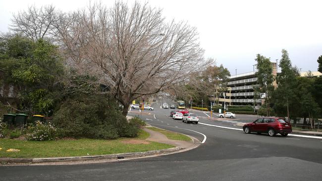 Ruth’s property (left) is in close proximity to Castle Towers (background). Picture: Adam Ward