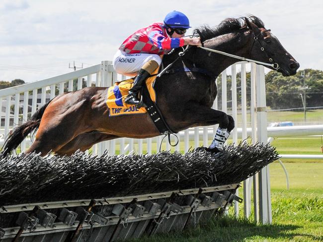 The Eric Musgrove-trained Gobstopper on his way to winning the first hurdles race of the new season.