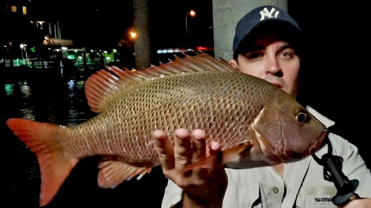 GOTCHA - Nick Bosworth caught and released this quality mangrove jack near the Noosa Woods Bays. Photo: www.fishingnoosa.com.au