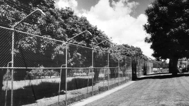 The perimeter fence at Wolston Park.