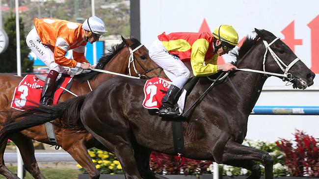 Grand Marshal runs past stablemate Who Shot Thebarman. Picture: Ian Currie