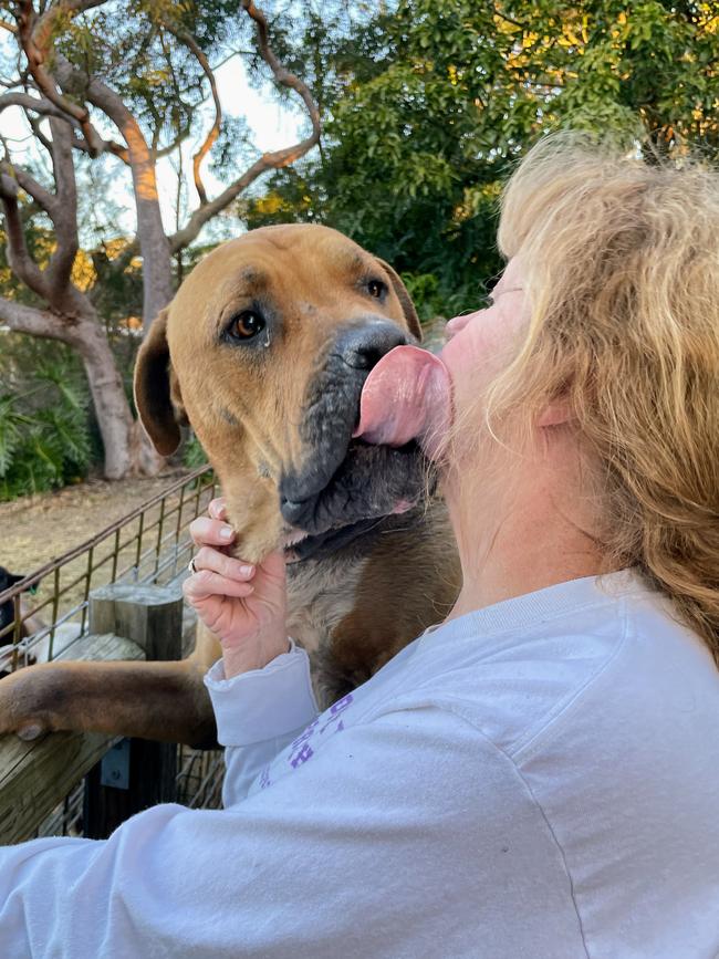 Julie-Ann Ehrlich and her pet dog Sarge. Picture: Dylan Arvela