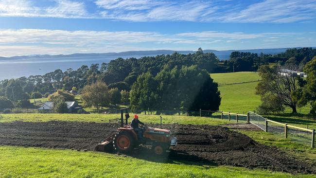 Peter Gilmore’s vegie garden and orchard are taking shape on his property overlooking the water in the Channel region, about 40-minutes from Hobart. Picture: Supplied