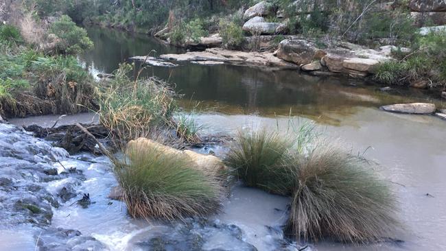 Contaminated water in the Bargo River.