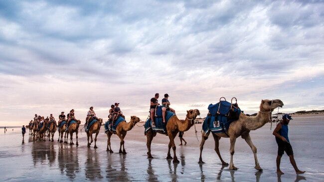 Camels on Cable Beach should be on every Australian's bucket list. Picture: Alamy