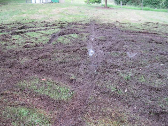 ‘Muddy mess’: Vandals destroy popular picnic spot just before Aus Day