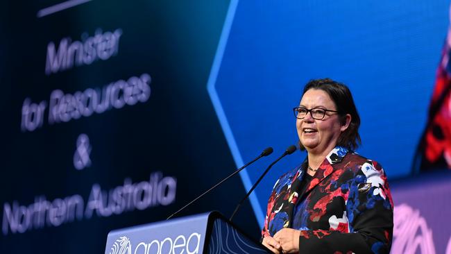 Federal Resources Minister Madeleine King. Picture: Naomi Jellicoe