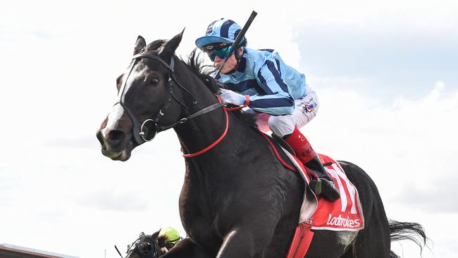 Onesmoothoperator (USA) ridden by Craig Williams wins the Ladbrokes Geelong Cup at Geelong Racecourse on October 23, 2024 in Geelong, Australia. (Pat Scala/Racing Photos via Getty Images)