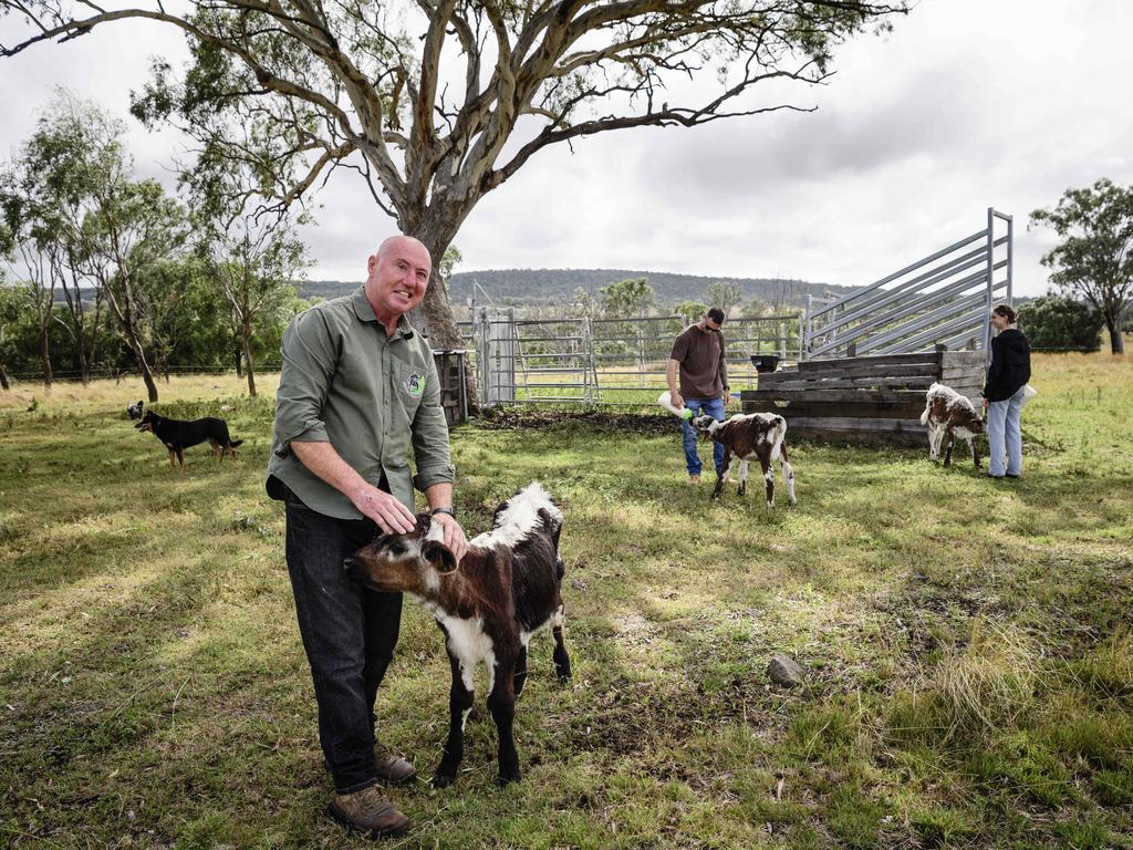 Traumatic brain injury survivor Jason Driscoll of Stones Throw Away on his property near Pittsworth with homestay guests Nick Overton and Lauren Stokes feeding calves in the background, Saturday, March 29, 2025. Picture: Kevin Farmer