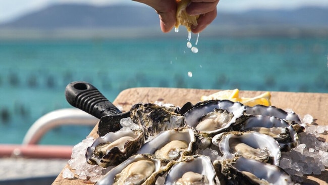 Coffin Bay’s oysters are world class.