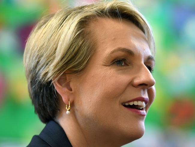 Deputy Leader of the Opposition Tanya Plibersek during a visit to Glebe Public School in Sydney, Friday, September 21, 2018. (AAP Image/Joel Carrett) NO ARCHIVING