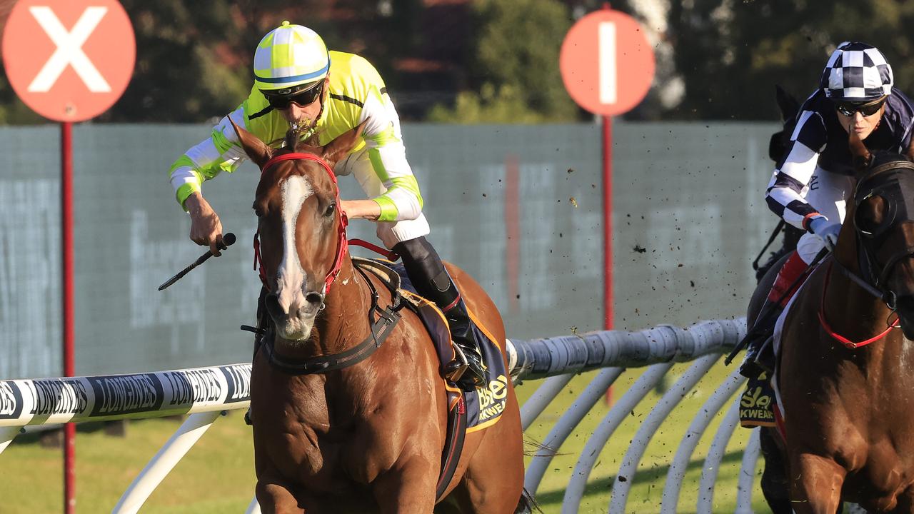 Sydney Racing: Golden Slipper Day