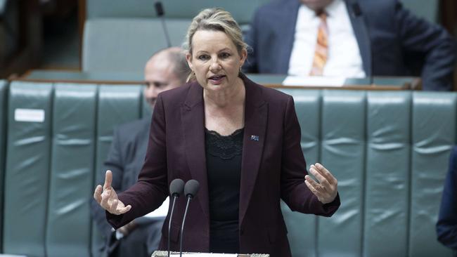 Acting Minister for Women Sussan Ley. Picture: NCA NewsWire/Gary Ramage