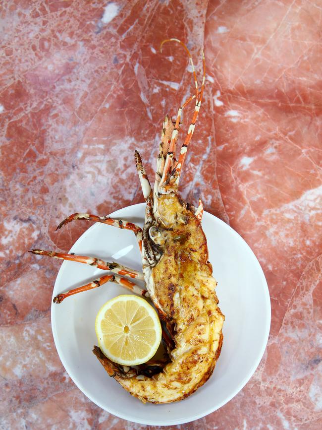 Arc is the best newest restaurant to hit the Queensland food scene. Picture: Adam Head