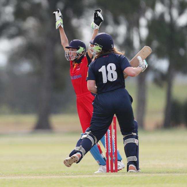 Central Northern take a wicket. Picture: Sue Graham