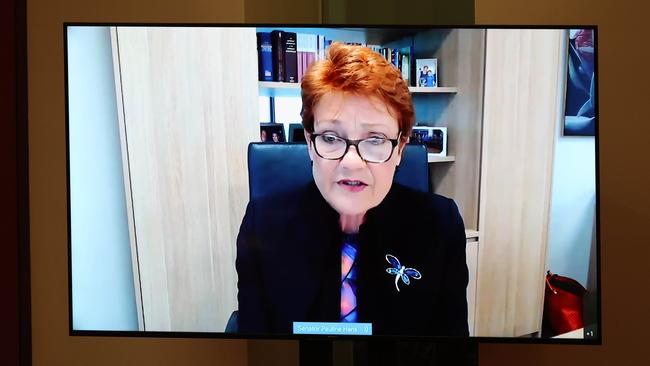 Pauline Hanson via video conference in the Senate Chamber in Parliament House. Picture: NCA NewsWire / Gary Ramage