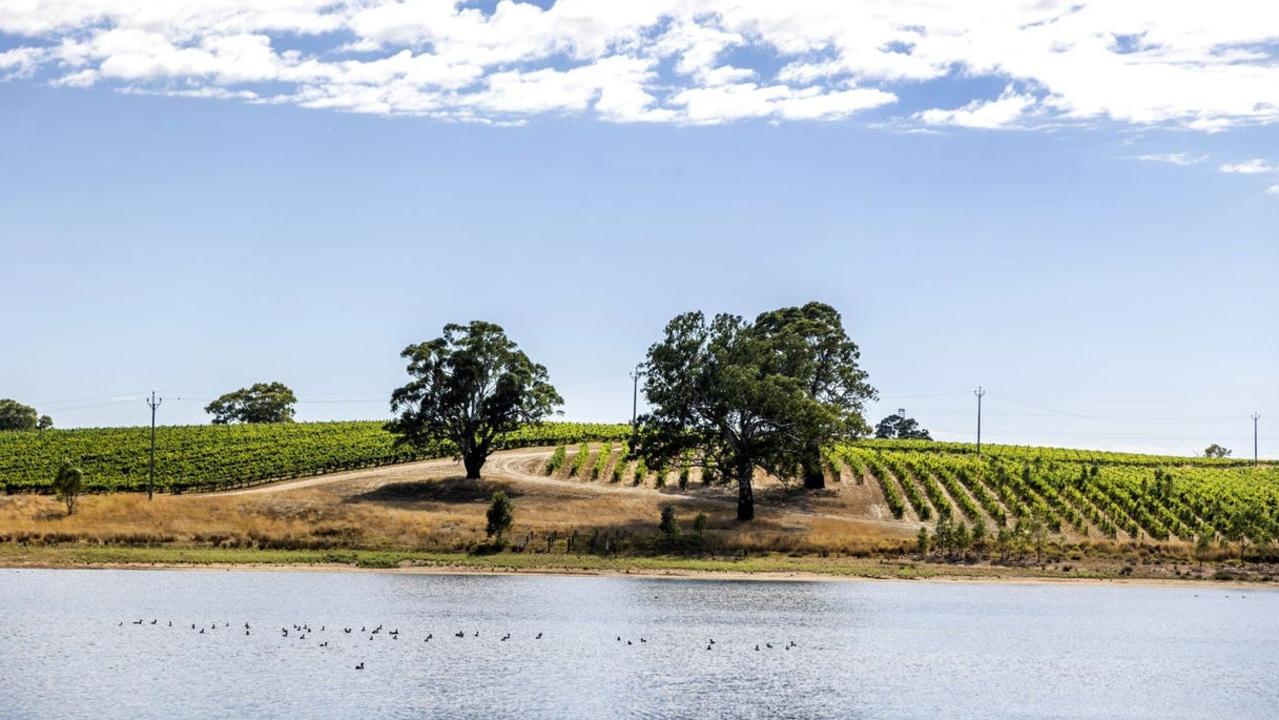 Valley Road vineyard property, at Birdwood. Picture: realestate.com.au,