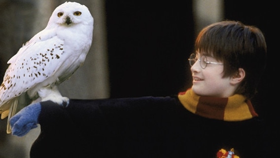 Harry Potter and the Philosophers Stone. Picture: Warner Bros