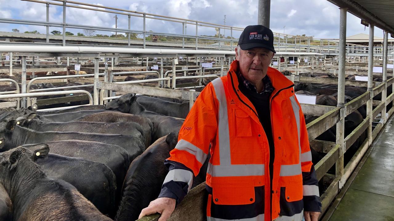 Warrnambool store cattle sale Rain spurs local producers The Weekly Times