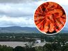 Fallout from flooded prawn farms to push up Easter seafood prices