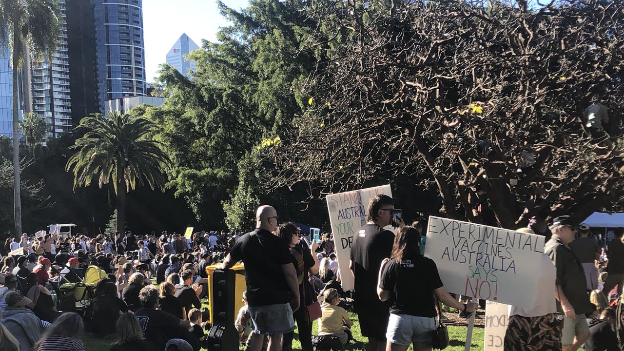 Protesters take part in a Freedom rally in the City Botanic Gardens, Brisbane. Picture: Shiloh Payne