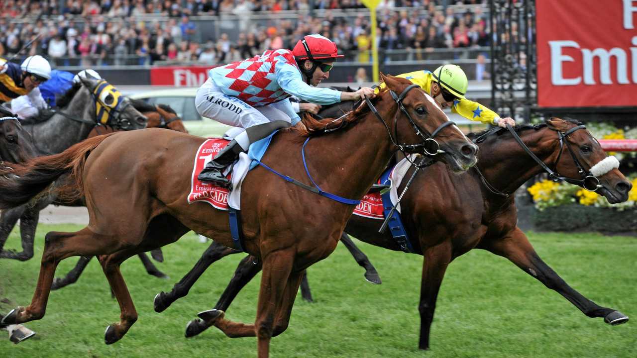 International Group 1 winner to stand at stud in CQ | The Courier Mail