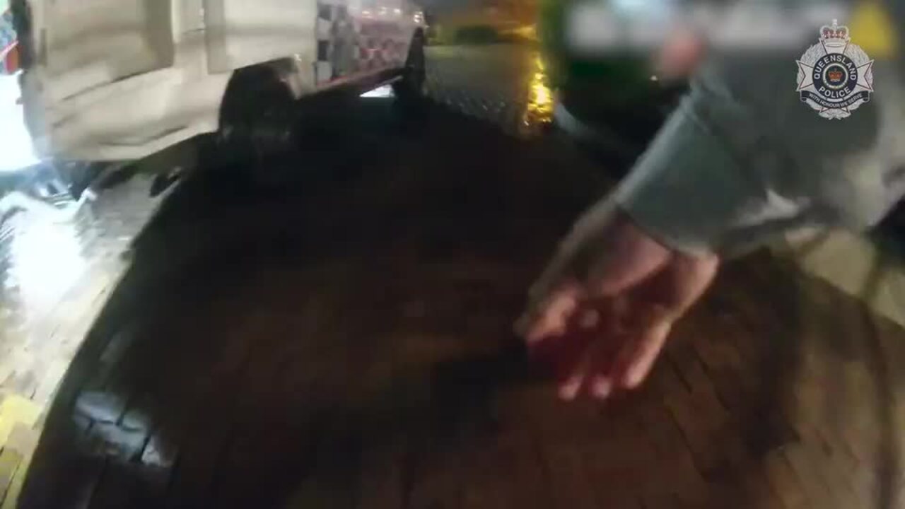 Man injured by dog squad in alleged chemist break-in