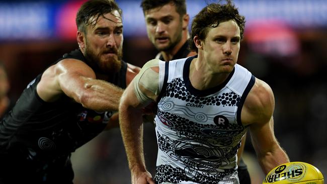 Jed Bews is action for the Cats. Picture: AAP Images