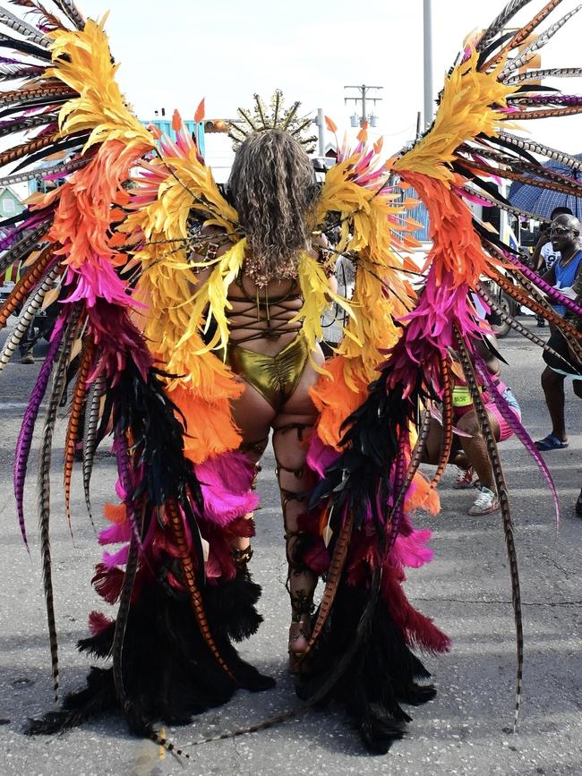 That’s some wingspan. Picture: Charles &amp; Sandy Pitt-Shanice King / BACKGRID