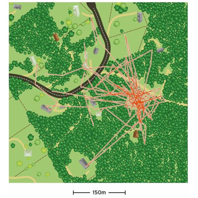 A map of one cat – Ollie's – movements in the trial.