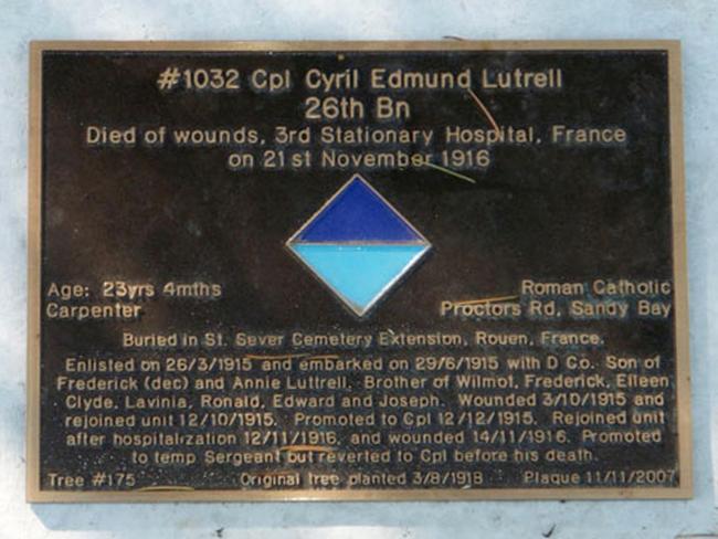 Corporal Cyril Luttrell’s plaque on the Soldiers’ Memorial Avenue