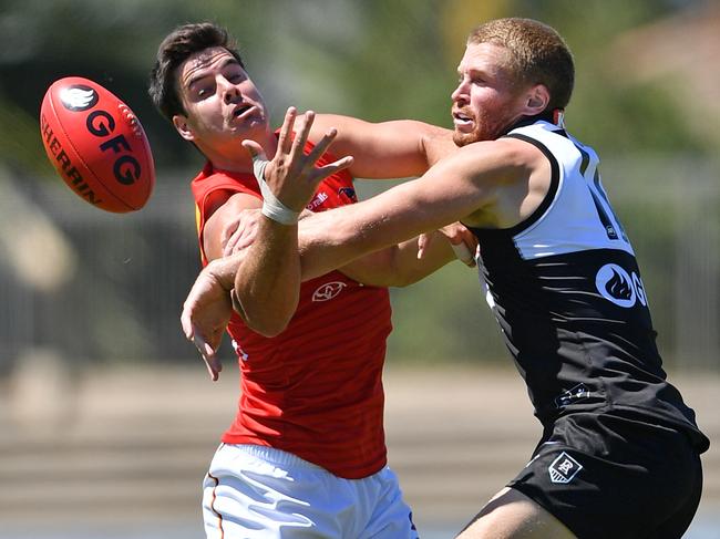 It’s time for Darcy Fogarty to take the next step and become a genuine forward target for Adelaide. Picture: Mark Brake/Getty Images