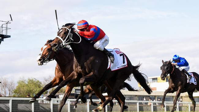 Verry Elleegant ridden by Mark Zahra on its way to winning the 2020 Caulfield Cup. Picture: Pat Scala /Racing Photos via Getty Images