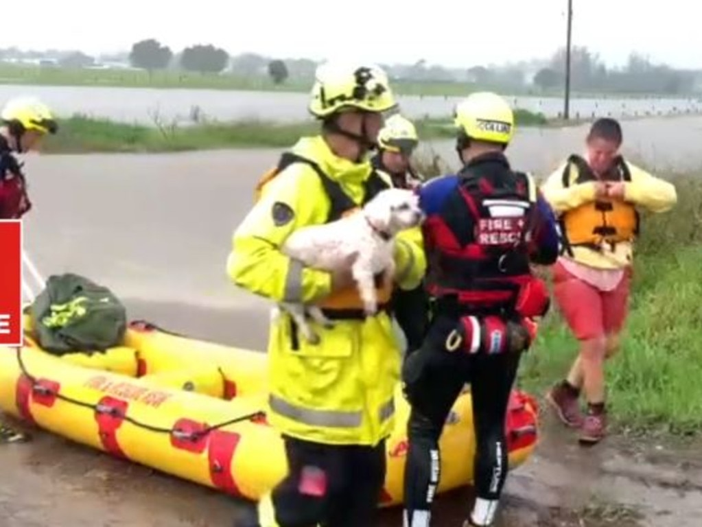 Two men and their dog, Cookie, have been rescued from a ute caught in floods in Kempsey. Picture: NSW Fire and Rescue.