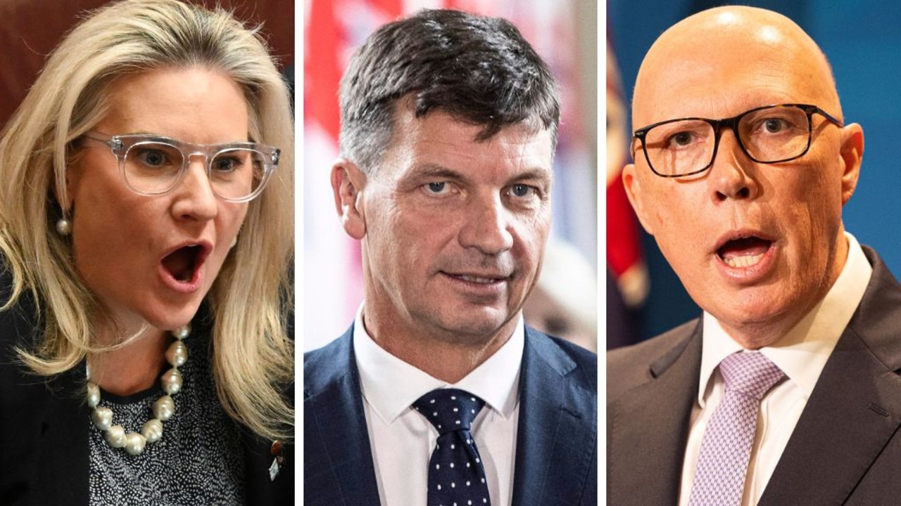 ‘Out of control’: Fury over wild Dutton claim