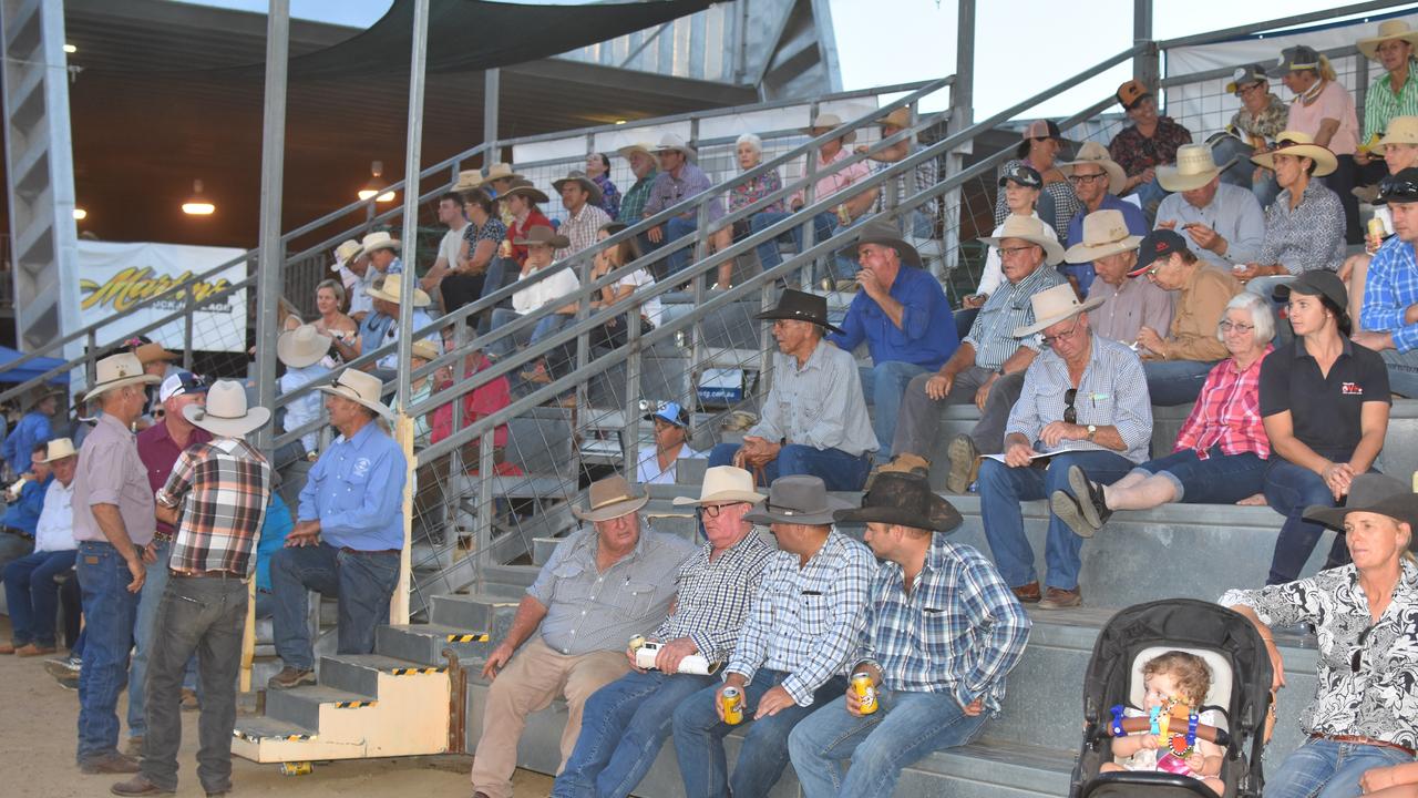 Spectators enjoyed the events on the first night of this year's Stock Horse Sale.