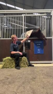 Security guard on Winx watch