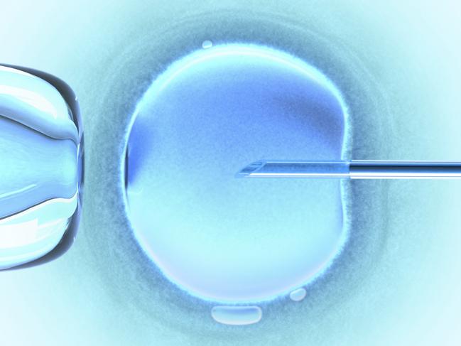 Monash IVF says updates on its independent review into the embryo mix up at the Brisbane clinic will be provided to key stakeholders.