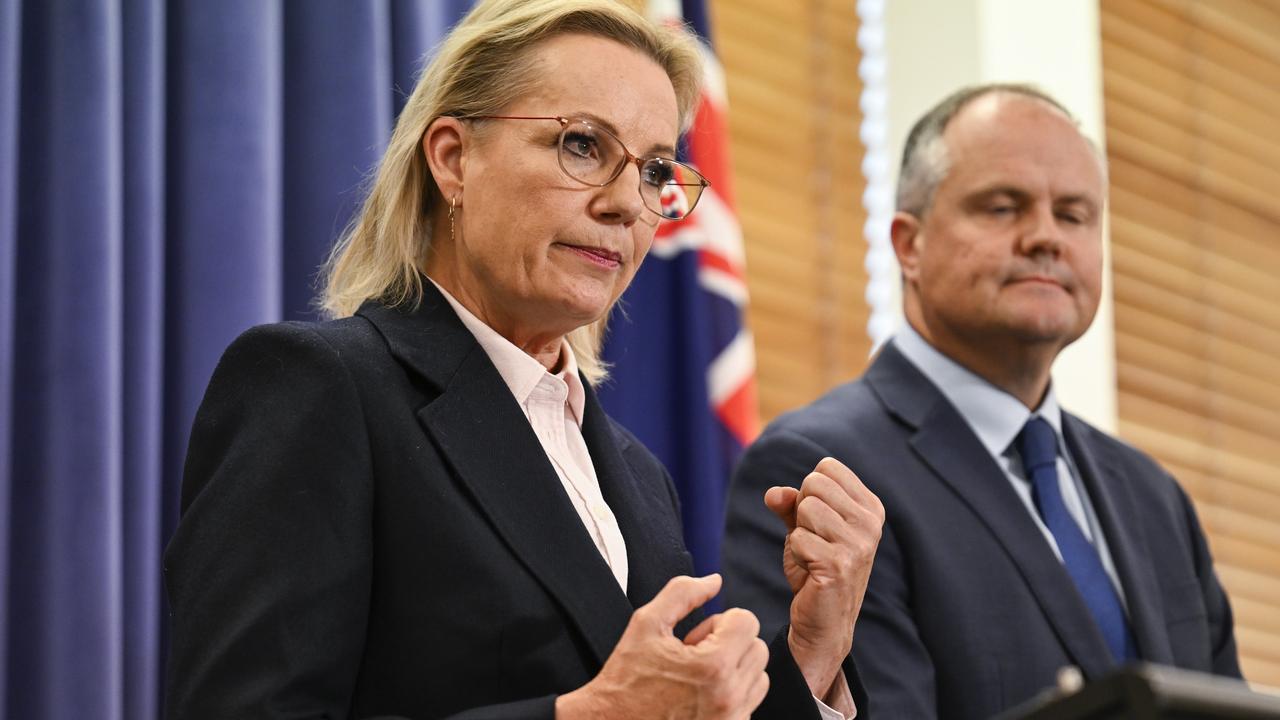 Sussan Ley a token pick? You haven’t been paying attention