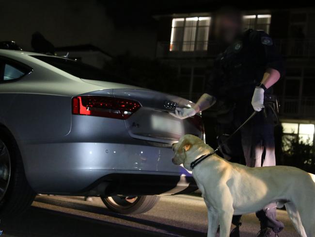 The police dog squad helping the special squad. Picture: NSW Police