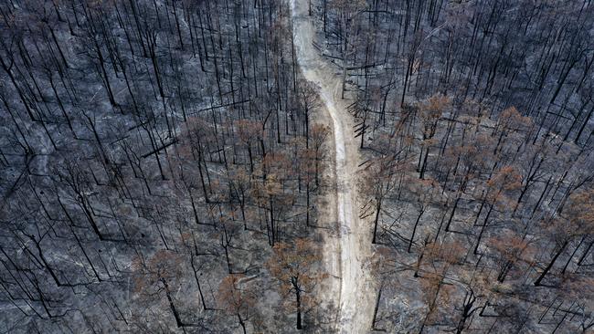 Much of the state’s worst-affected areas - like Clifton Creek in Gippsland - may need creative solutions to ensure the best long term recovery. Picture: Alex Coppel.