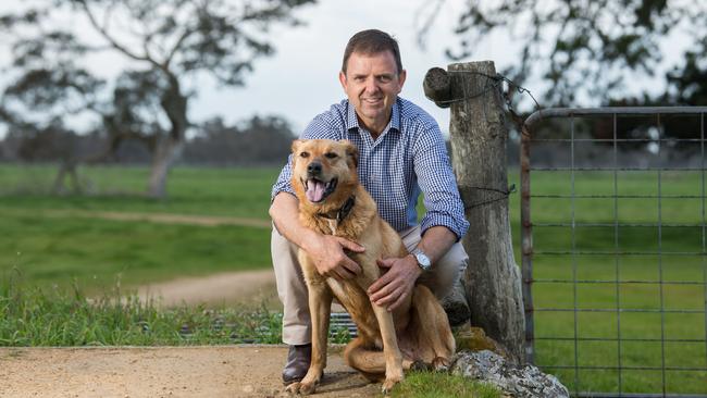 MP for MacKillop Nick McBride says South Australia has done a good job of managing the virus, but it was time to broaden the focus. Picture: Tom Huntley